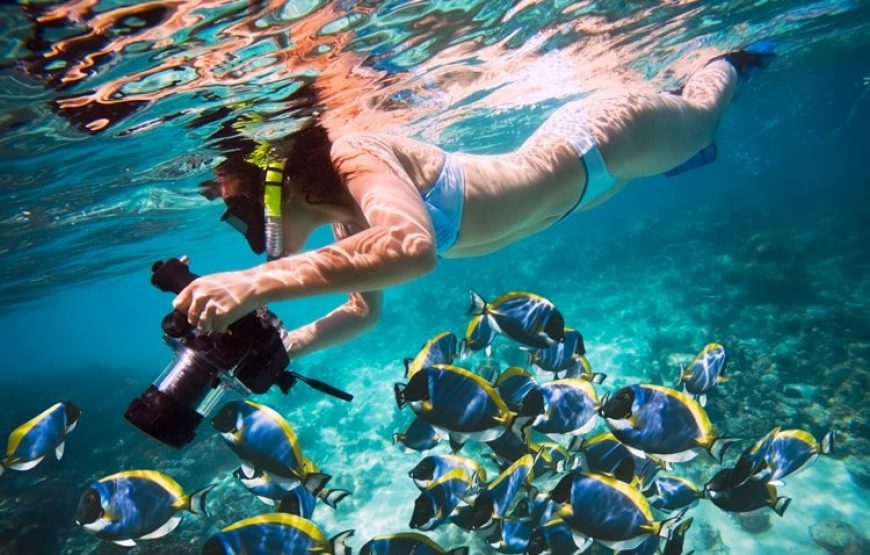 Hurghada: Mahmya Island with Snorkeling and Buffet Lunch