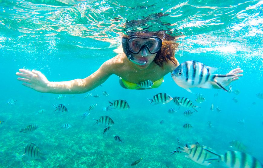 Hurghada: Mahmya Island with Snorkeling and Buffet Lunch