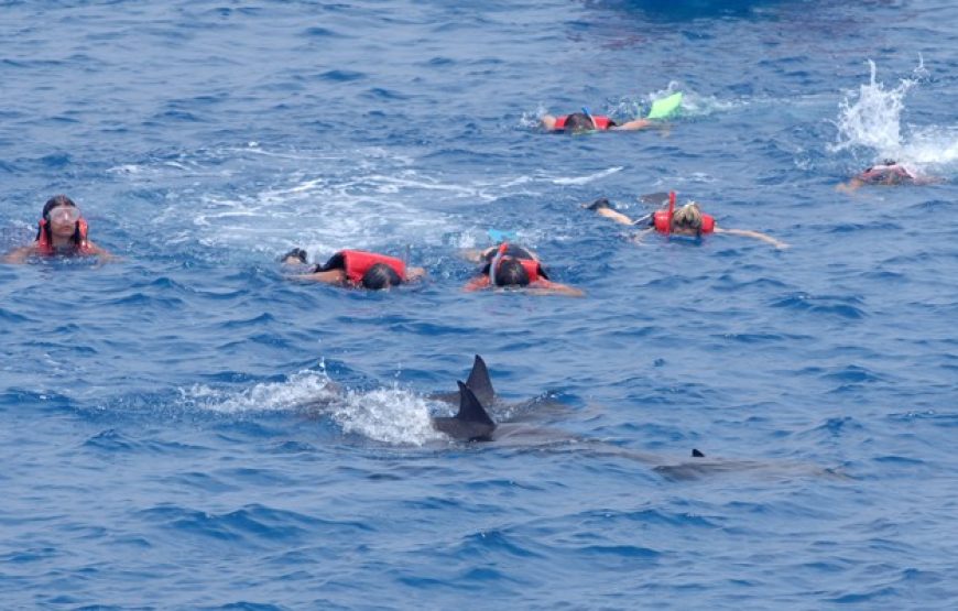 Hurghada: Mahmya Island with Snorkeling and Buffet Lunch