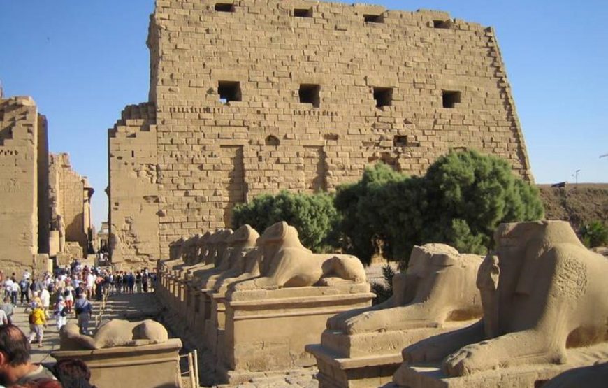 Hurghada: Luxor Valley of the Kings Full-Day Trip