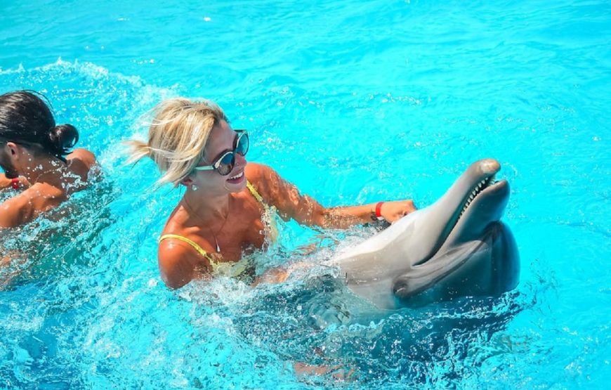 Hurghada: Photo Session with Dolphins and Hotel Transfer