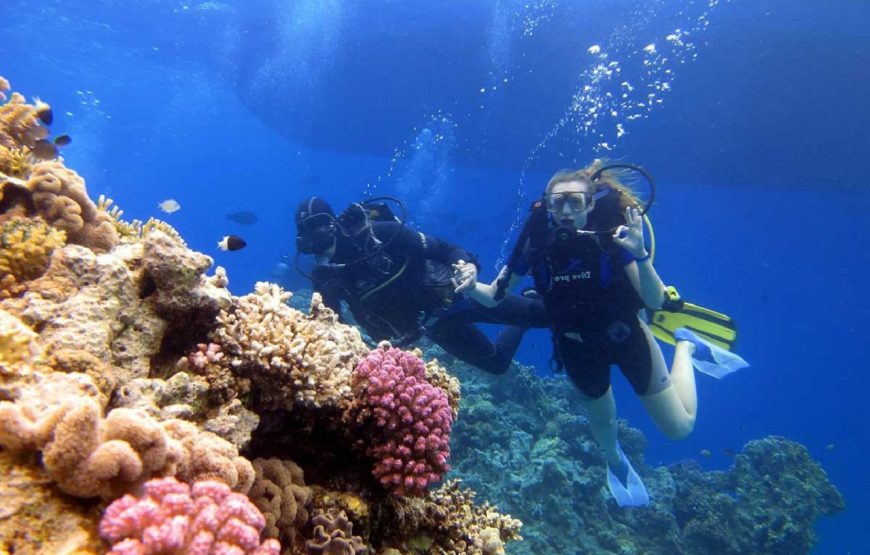 Hurghada: Ultimate Paradise Island Adventure Snorkeling, Diving, Water Sports