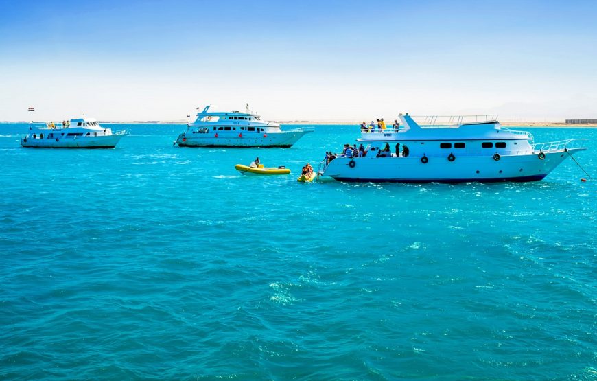 Hurghada: Dolphin House Boat Tour with Snorkeling, Lunch