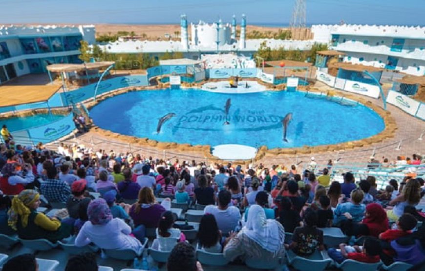 Hurghada: Dolphin World Show with Walruses and Pick-up