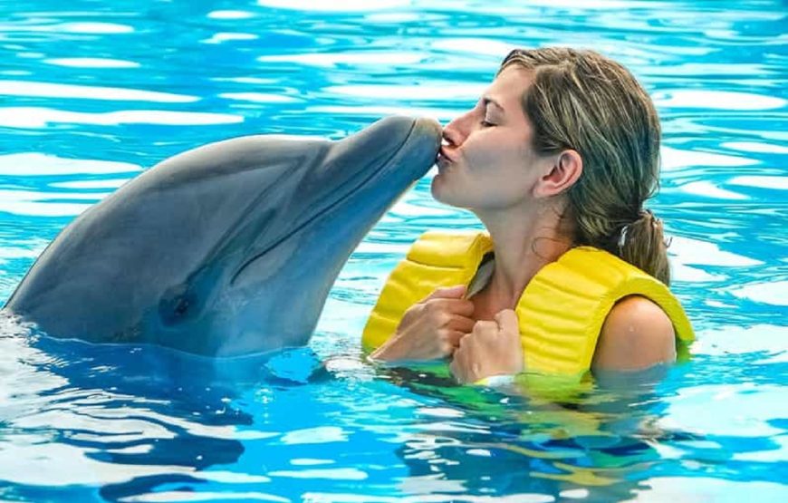 Hurghada: Photo Session with Dolphins and Hotel Transfer