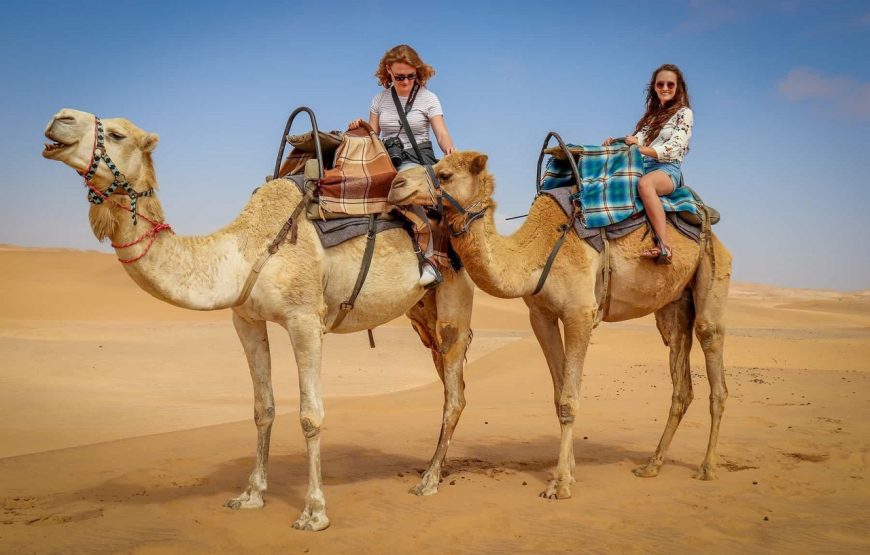 Hurghada: Family Safari, Quad, Camel Ride and Bedouin Village