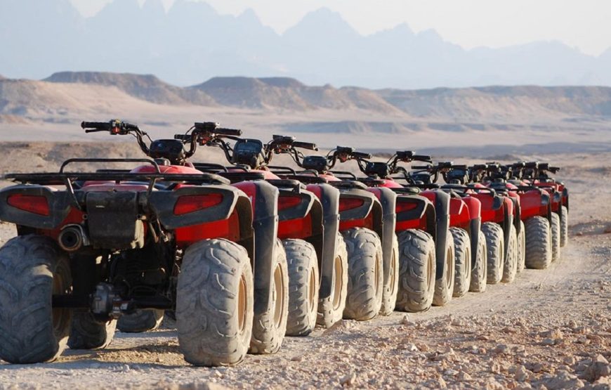 Hurghada: Family Safari, Quad, Camel Ride and Bedouin Village