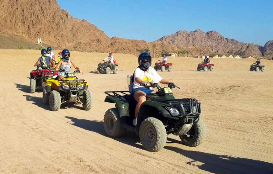 Hurghada: Super Safari Quad, Jeep, Camel, Buggy and BBQ Dinner