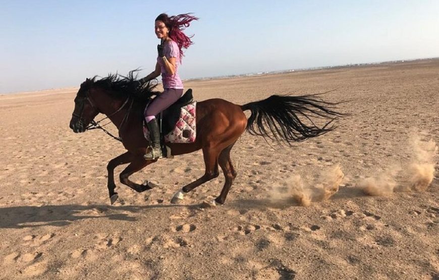 Hurghada: Horse Riding for 1 Hour Sea, Desert