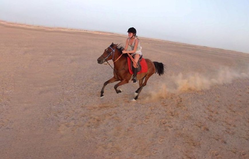 Hurghada: Horse Riding for 1 Hour Sea, Desert