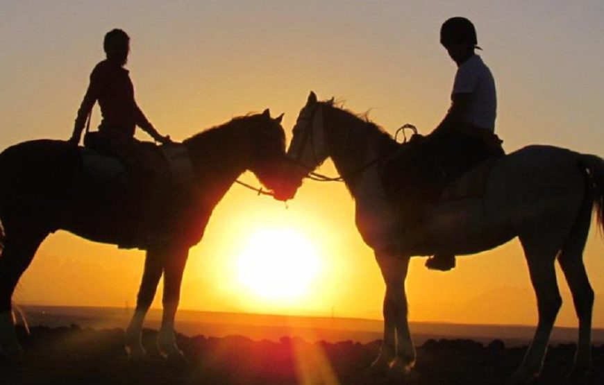 Hurghada: Sea, Desert Horse Riding for 2 Hours