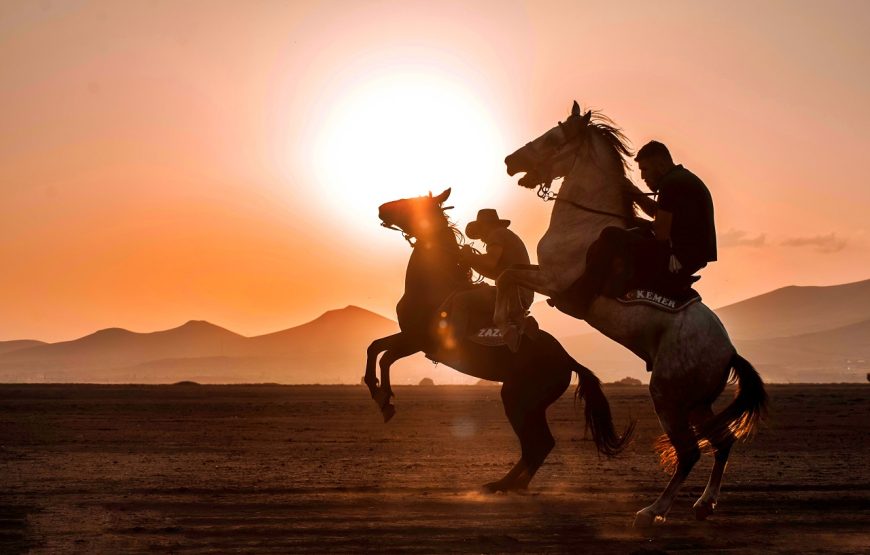 Hurghada: Sea, Desert Horse Riding for 2 Hours