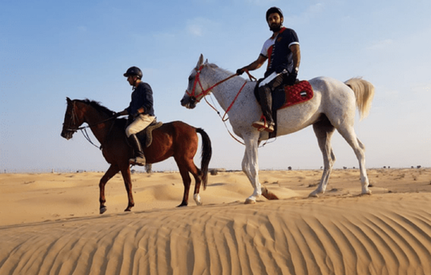 Hurghada: Sea, Desert Horse Riding for 2 Hours