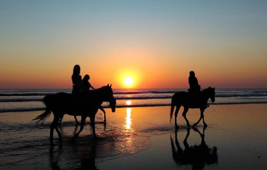 Hurghada: Horse Riding for 1 Hour Sea, Desert