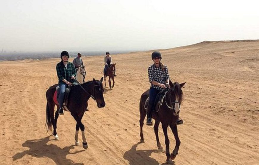 Hurghada: Horse Riding for 1 Hour Sea, Desert