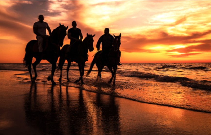 Hurghada: Horse Riding for 1 Hour Sea, Desert