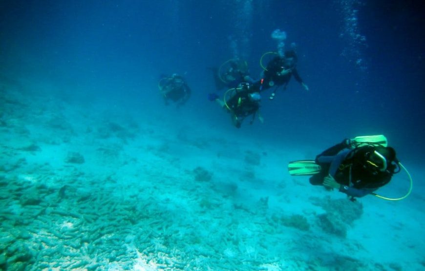 Hurghada: Orange Bay Island Trip with Diving, Snorkeling