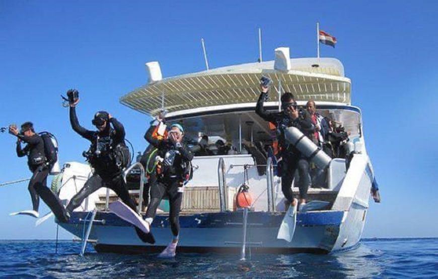 Hurghada: Orange Bay Island Trip with Diving, Snorkeling