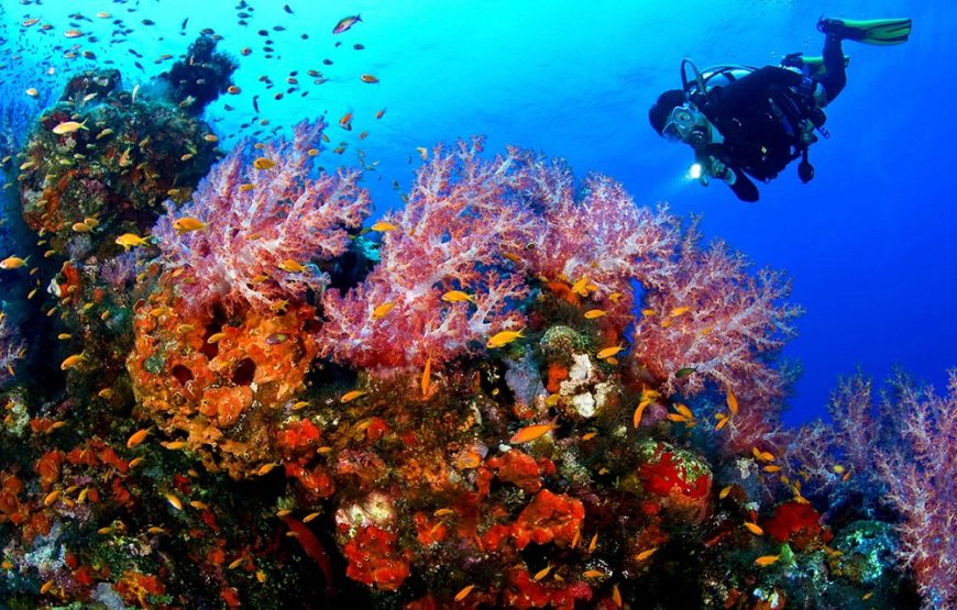 Hurghada: Intro Diving Beginner and Discover Red Sea Underwater