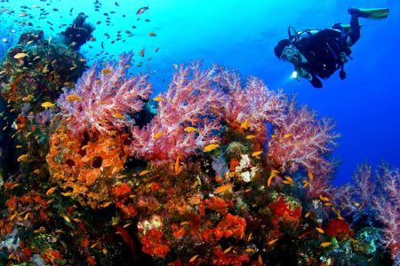 Hurghada: Intro Diving Beginner and Discover Red Sea Underwater