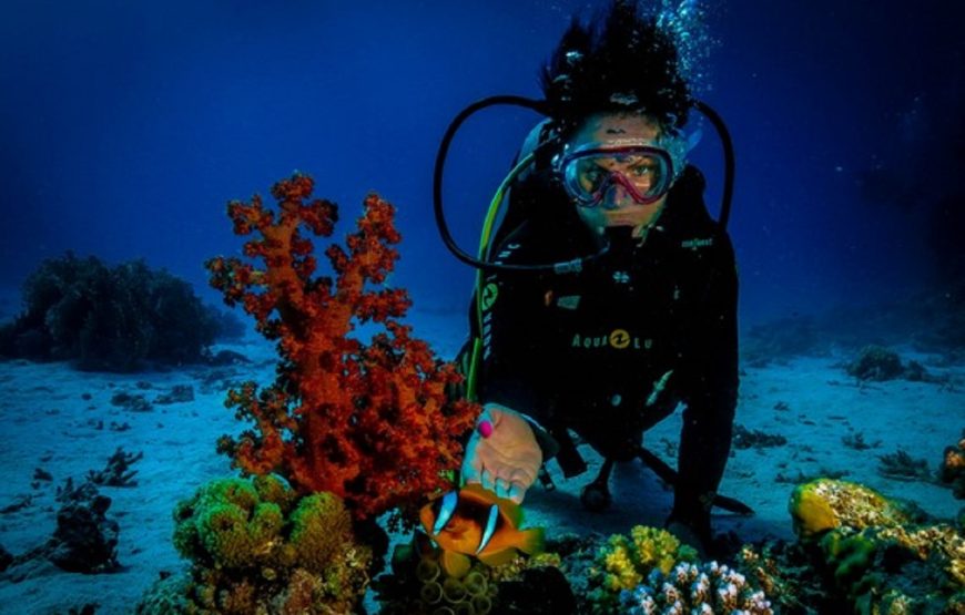 Hurghada: Intro Diving Beginner and Discover Red Sea Underwater