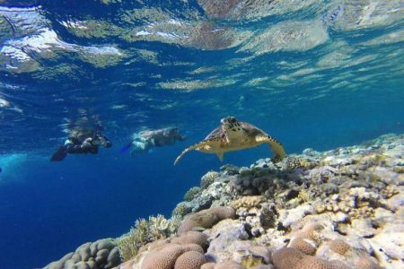 Hurghada: Sharm El Naga Boat Tour with Snorkeling, Lunch