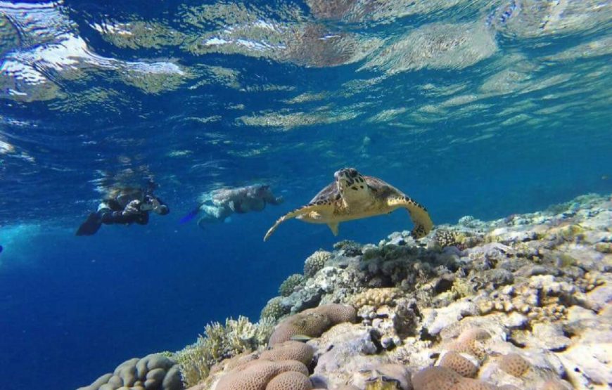 Hurghada: Sharm El Naga Boat Tour with Snorkeling, Lunch